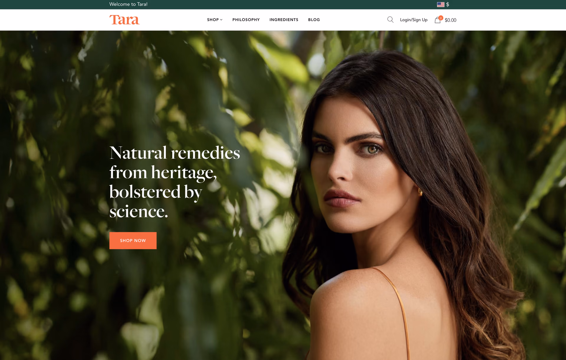 Before redesign