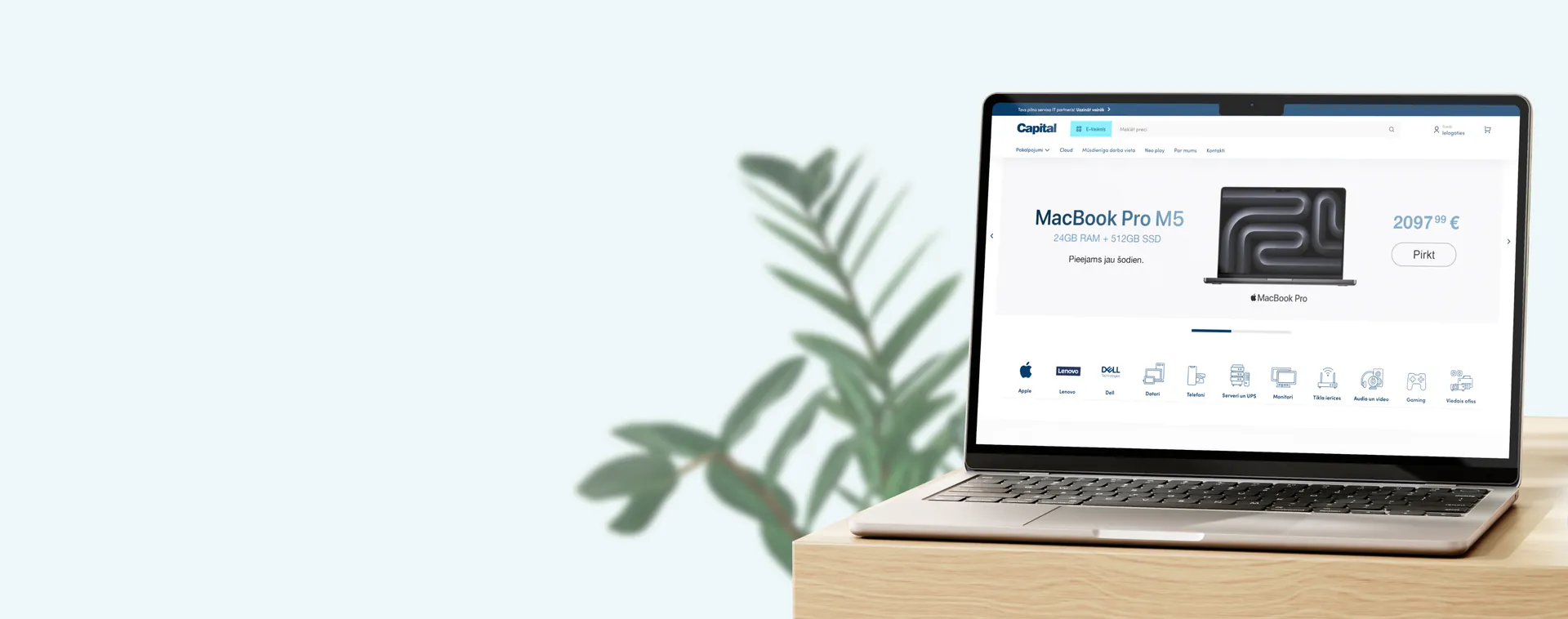 Capital case study