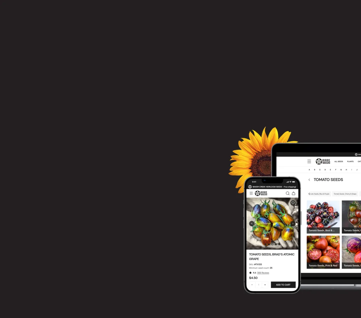 Mobile and laptop screens displaying the Rare Seeds website with a sunflower.