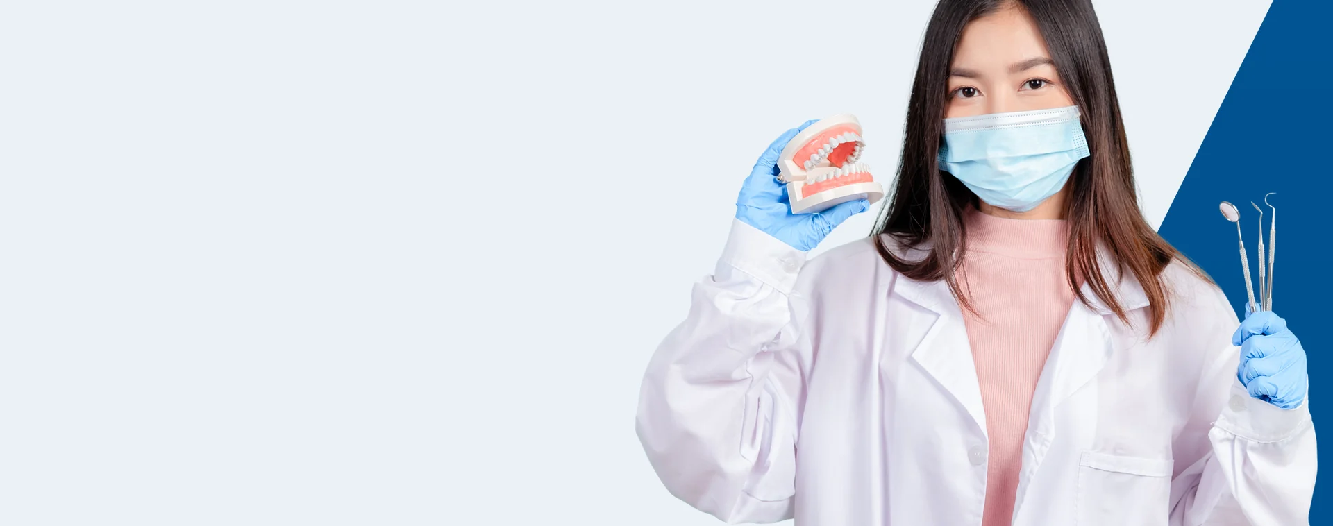 Mega Dental case study